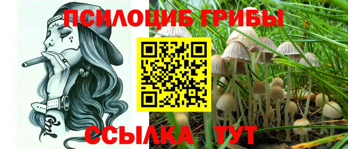 Галлюциногенные грибы GOLDEN TEACHER Балтийск